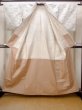 Photo2: N0409J Vintage Japanese women   White TSUMUGI pongee / Silk. Wave,   (Grade C) (2)