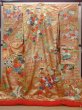 Photo2: N0605E Used Japanese women   Gold UCHIKAKE Wedding / Silk. SAKURA cherry blossom,   (Grade D) (2)