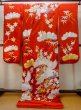 Photo2: N0827G Vintage Japanese women  Shiny Red KAKESHITA under Uchikake / Silk. UME plum bloom,   (Grade B) (2)