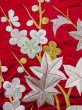 Photo20: N0827G Vintage Japanese women  Shiny Red KAKESHITA under Uchikake / Silk. UME plum bloom,   (Grade B) (20)