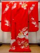 Photo2: N0827J Vintage Japanese women  Vivid Red UCHIKAKE Wedding / Silk. Chrysanthemum,   (Grade C) (2)