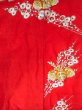 Photo5: N0827J Vintage Japanese women  Vivid Red UCHIKAKE Wedding / Silk. Chrysanthemum,   (Grade C) (5)