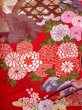 Photo14: Mint N0827L Vintage Japanese women   Red UCHIKAKE Wedding / Silk. SAKURA cherry blossom, Metalic thread  (Grade A) (14)