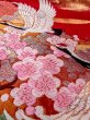 Photo27: Mint N0827L Vintage Japanese women   Red UCHIKAKE Wedding / Silk. SAKURA cherry blossom, Metalic thread  (Grade A) (27)