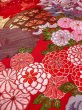 Photo31: Mint N0827L Vintage Japanese women   Red UCHIKAKE Wedding / Silk. SAKURA cherry blossom, Metalic thread  (Grade A) (31)