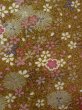 Photo7: Mint N1112S Used Japanese kimono  Yellowish Brown KOMON dyed for women / Synthetic. SAKURA cherry blossom,   (Grade A) (7)